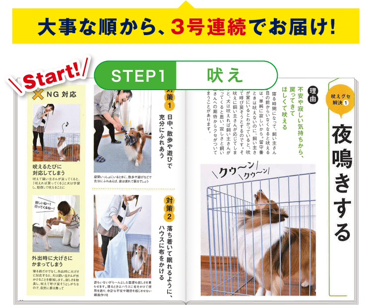 STEP1 ≪吠え≫