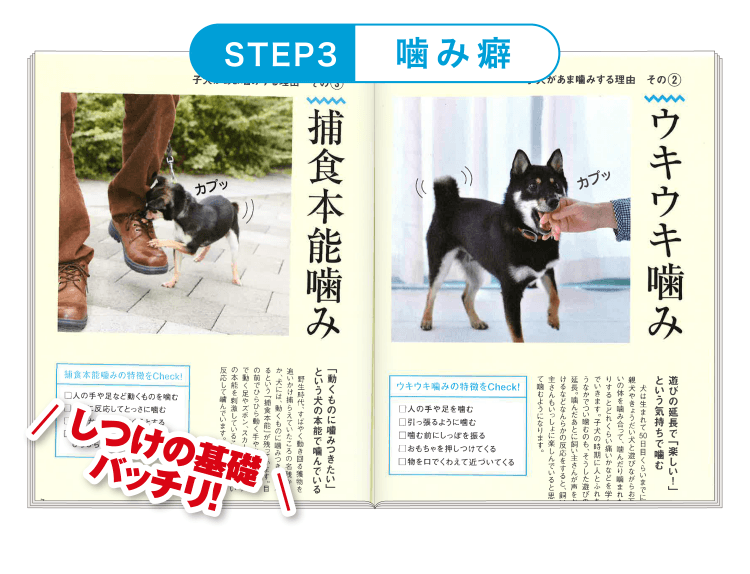 STEP3 ≪噛み癖≫