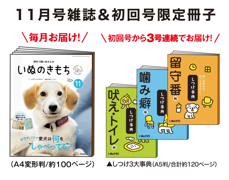 11月号雑誌＆初回号限定冊子