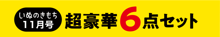 いぬのきもち11月号