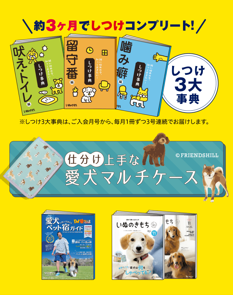 超豪華11点セット
