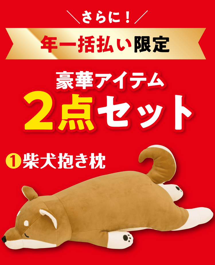 ＼さらに！／ 年一括払い限定 豪華アイテム2点セット ❶柴犬抱き枕