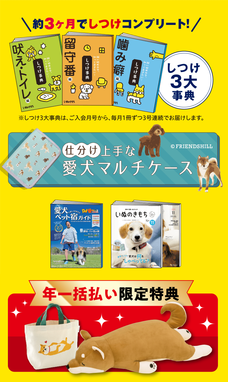 超豪華6点セット