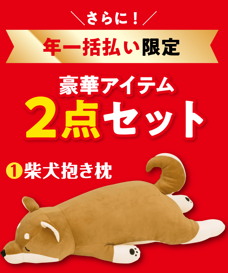 ＼さらに！／年一括払い限定豪華アイテム2点セット ❶柴犬抱き枕 ❷柴田さんのお散歩バッグ さらに1号無料