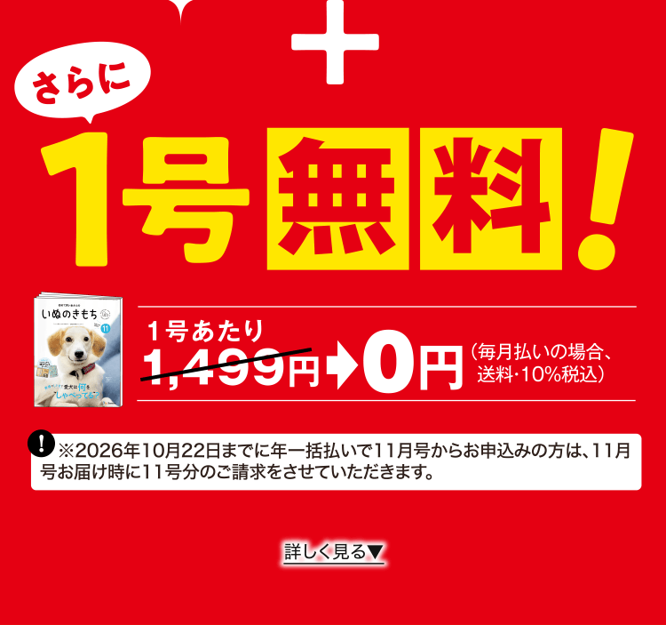 さらに1号無料
