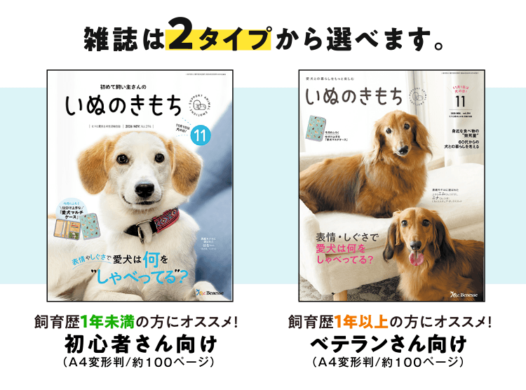 いぬのきもちは2タイプから選べます！[A4変型判／約100ページ]