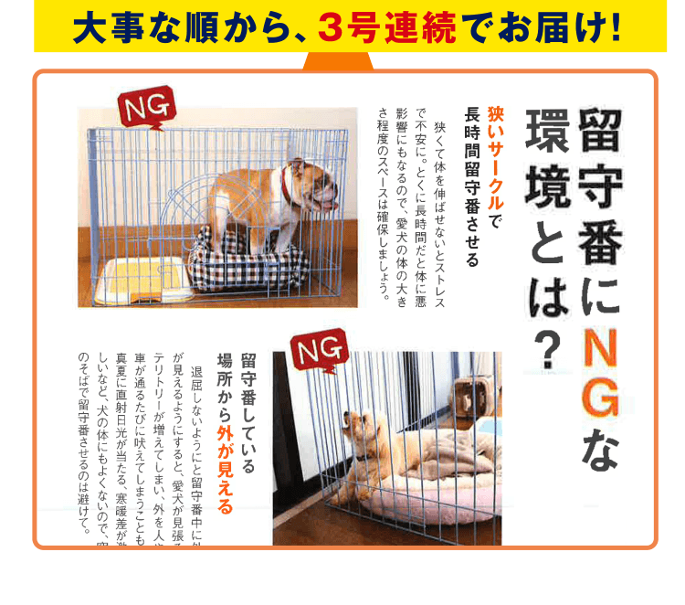 留守番にNGな環境とは?