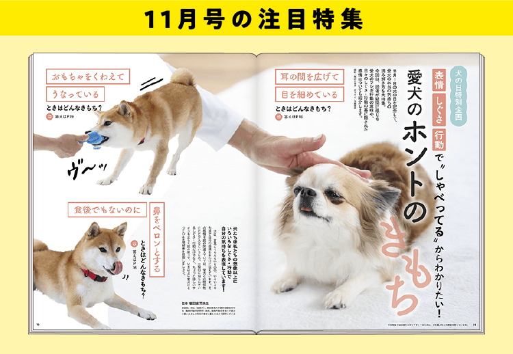 注目特集