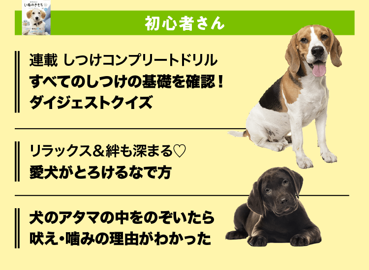 いぬのきもち 初心者さん