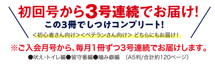 ＼初回号で一緒にお届け！／