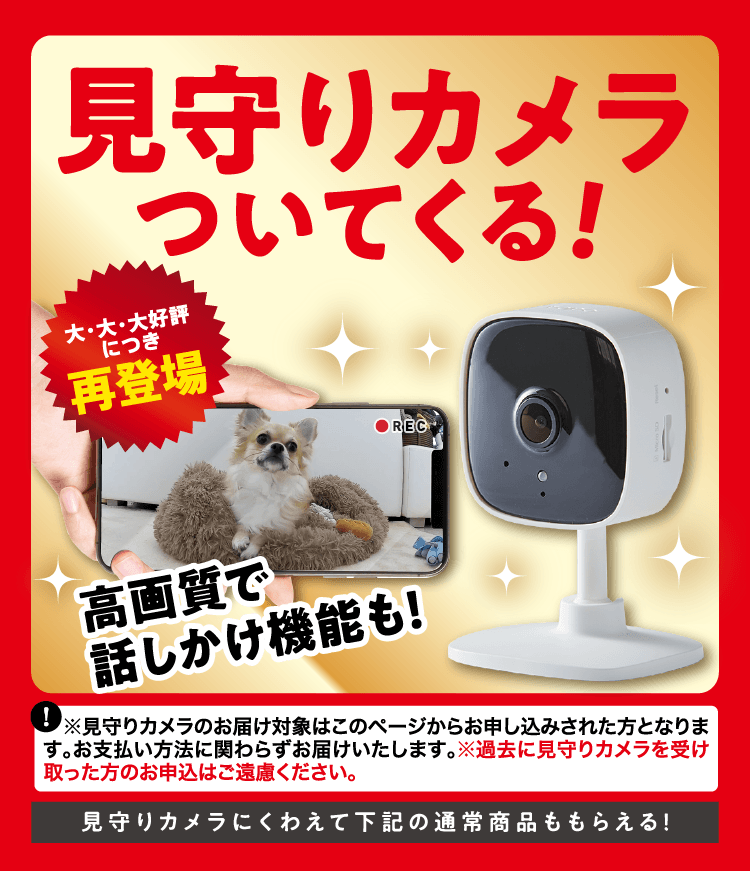 見守りカメラついてくる! 大・大・大好評につき再登場