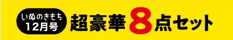 いぬのきもち12月号