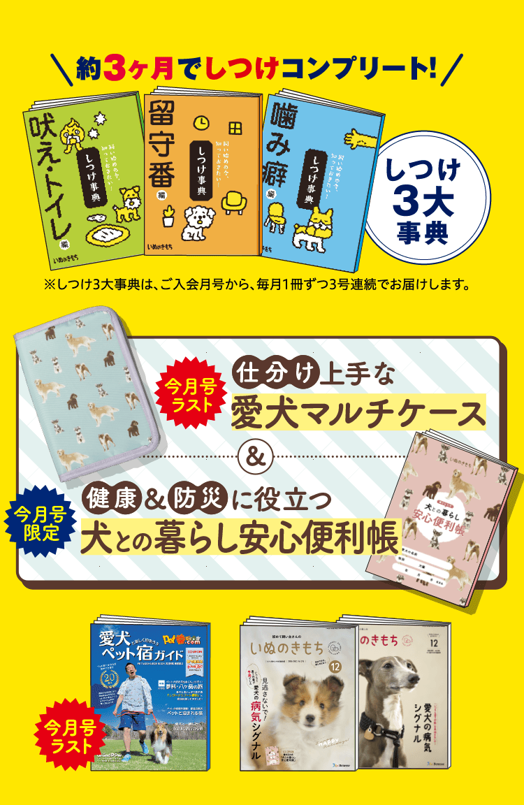 超豪華8点セット