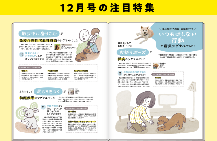 注目特集