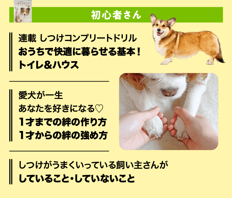 いぬのきもち　初心者さん