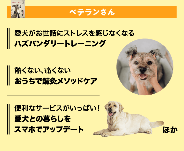 いぬのきもち　ベテランさん