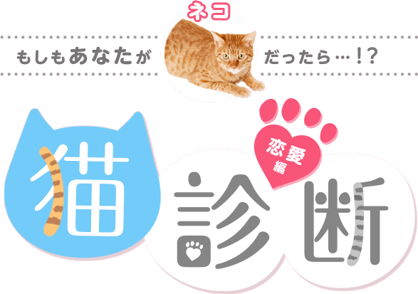 猫診断 恋愛編 いぬのきもちweb ねこのきもちweb