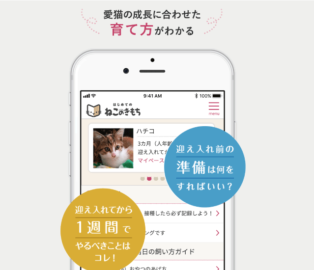 はじめてのねこのきもち ねこのきもちweb