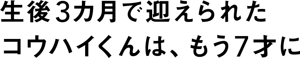 生後3カ月で迎えられたコウハイくんは、もう7才に