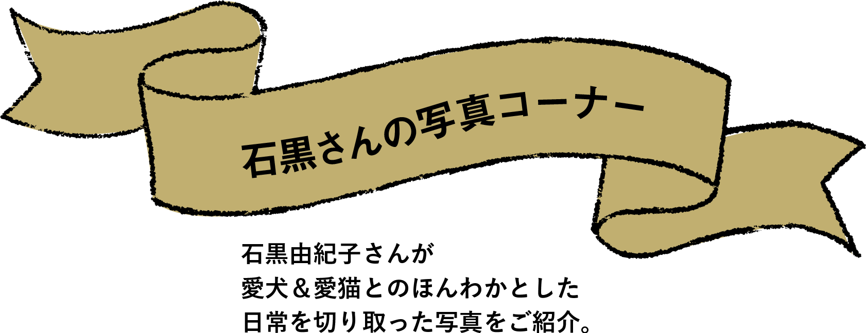 石黒さんの写真コーナー 石黒由紀子さんが愛犬&愛猫とのほんわかとした日常を切り取った写真をご紹介。