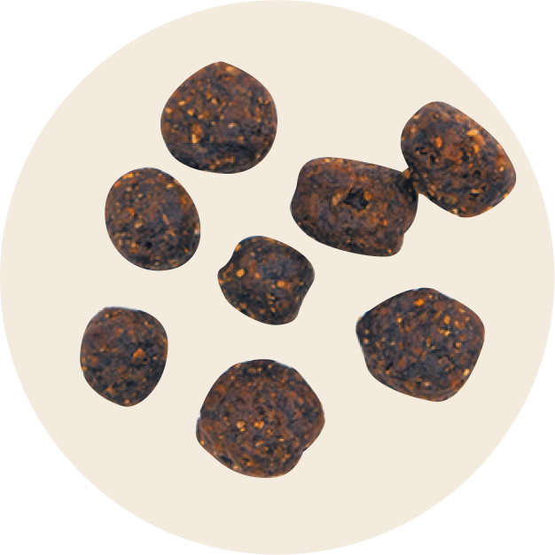 フードにこだわる由紀子さんも納得!「ライフソースTMビッツ」