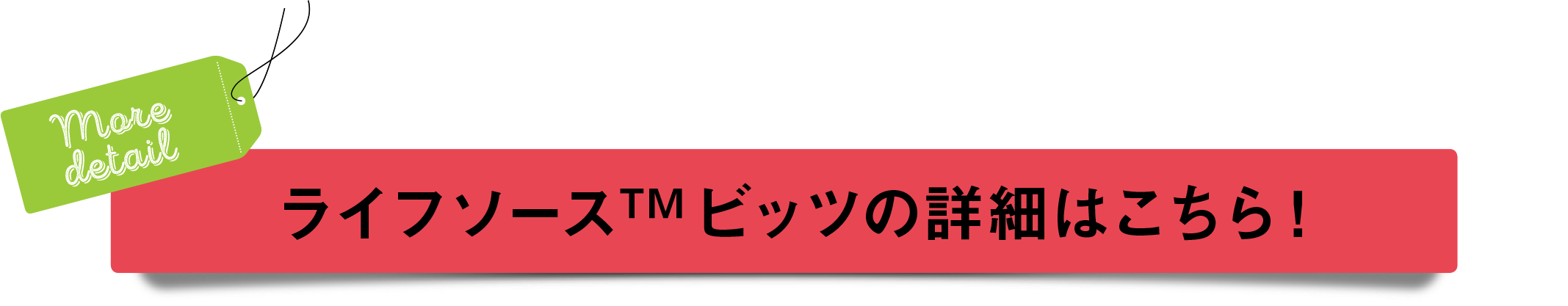 ライフソース　ビッツの詳細はこちら！