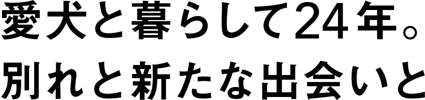愛犬と暮らして24年。別れと新たな出会いと