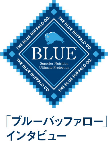 BLUE 「ブルーバッファロー」インタビュー