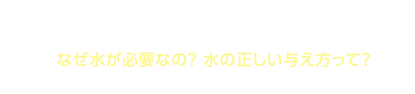 犬・猫の1日に必要な飲水量を体重、食べているフードなどをもとに独自に算出したものです。なぜ水が必要なの？ 水の正しい与え方って？普段意識していない水のこと。