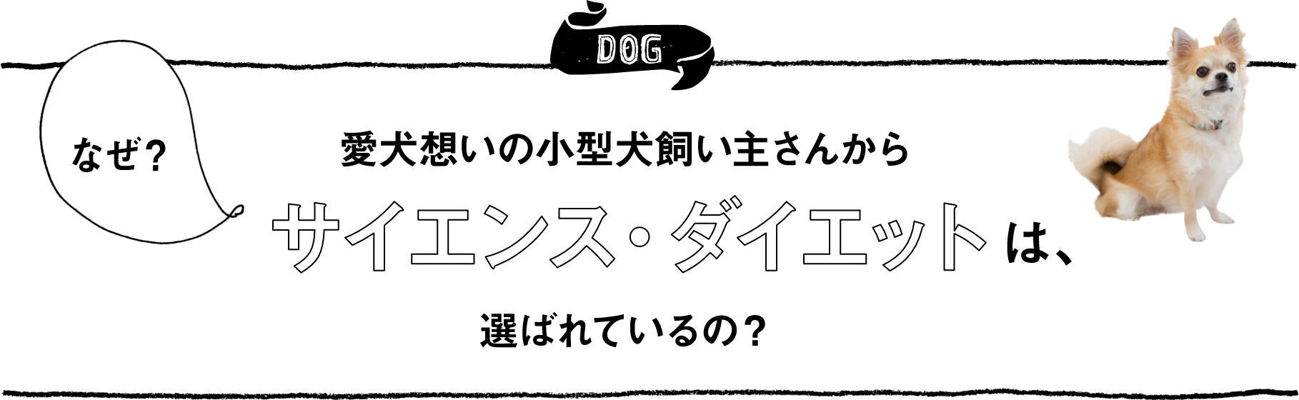DOGなぜ？　愛犬想いの小型犬飼い主さんからサイエンス・ダイエットは、選ばれているの？