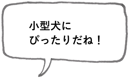 小型犬にぴったりだね！
