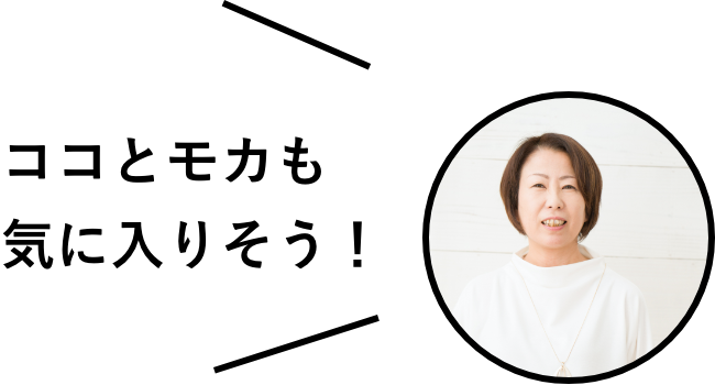 ココとモカも気に入りそう！