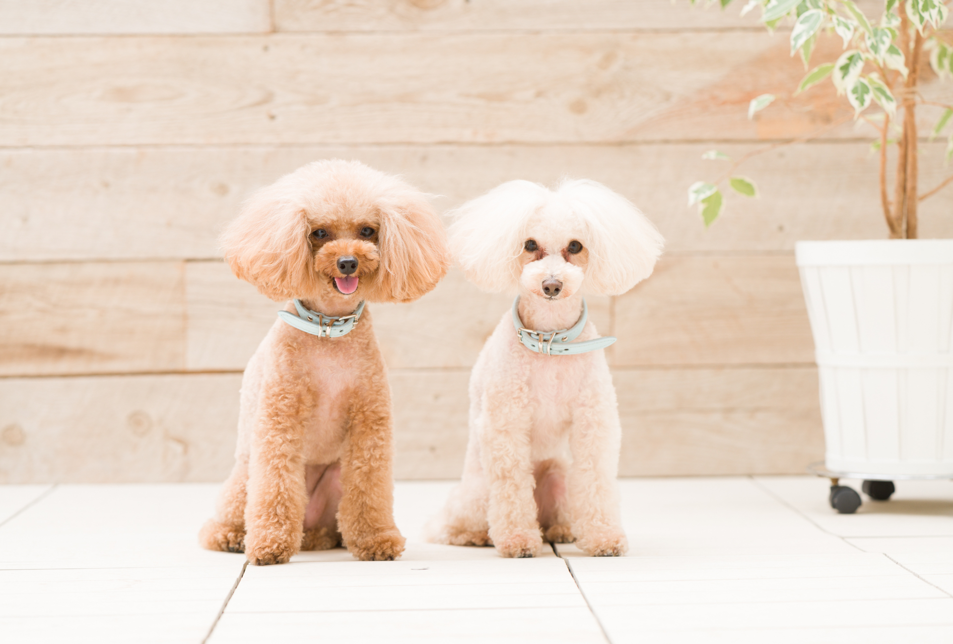 けっこう食べムラがあるコでも大丈夫？