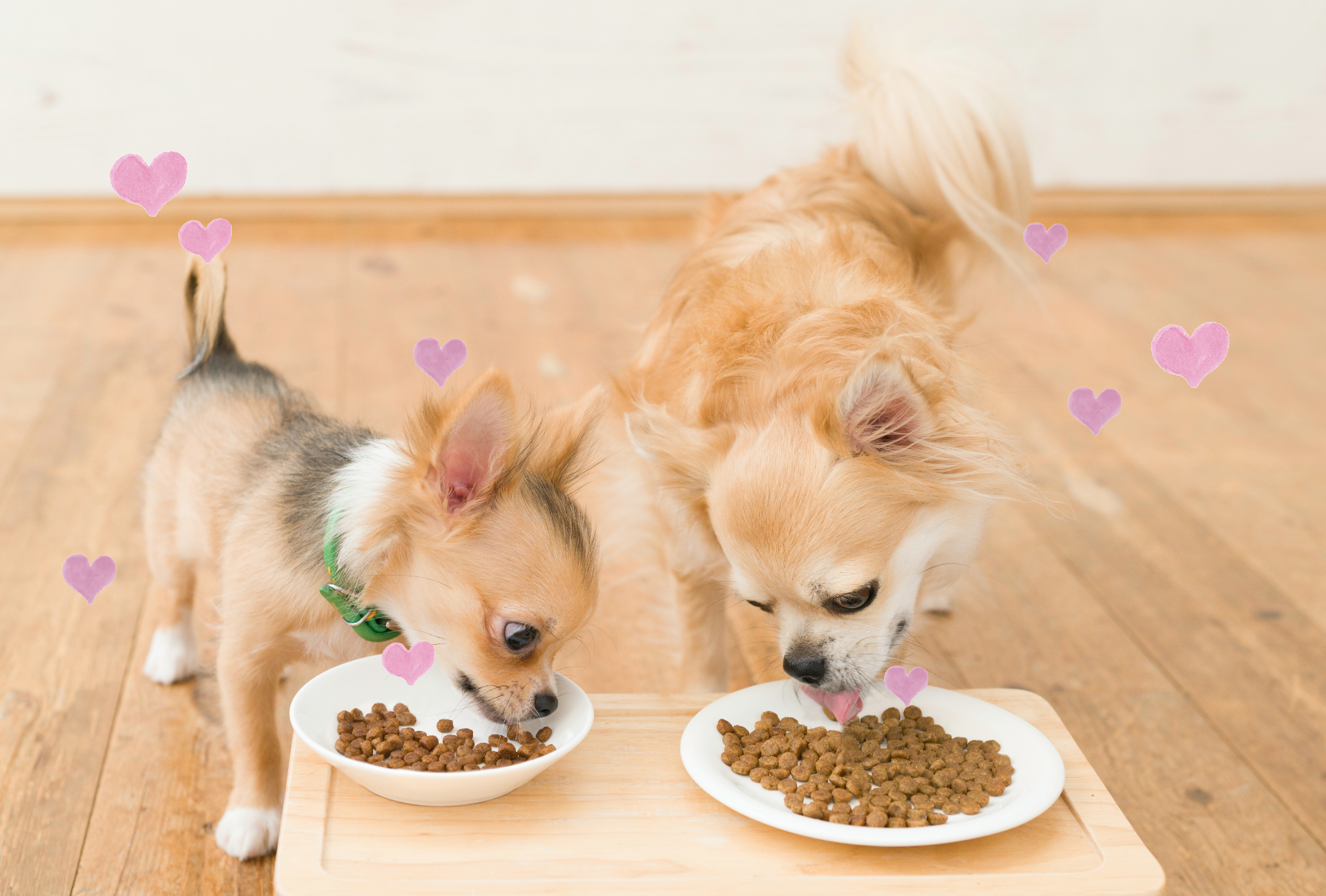 うちのコたちも好き嫌いがあるけど、これは大好物みたい♪