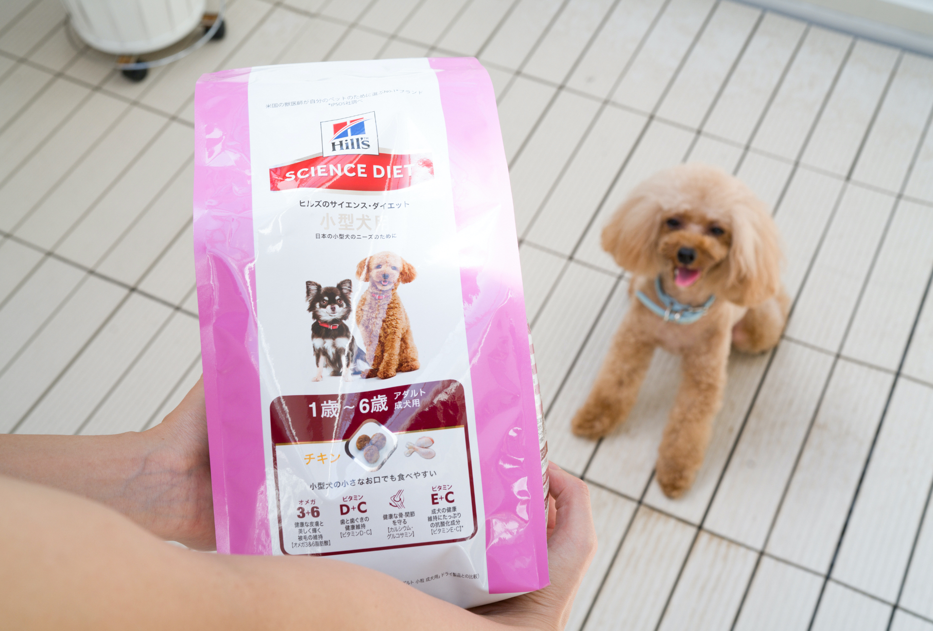 ライフステージに合わせたぴったりなフードがあるよ！