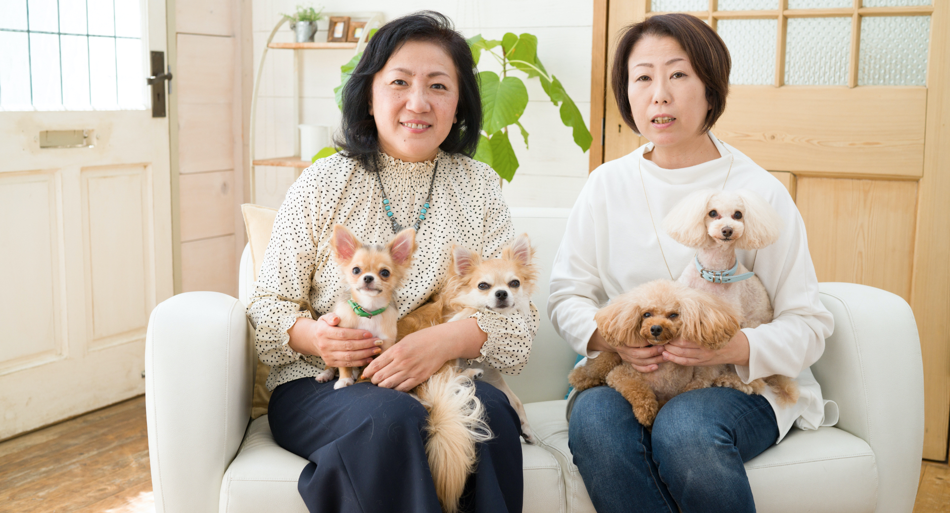 サイエンス・ダイエットで大好きな愛犬ともっと長く健康な暮らしを