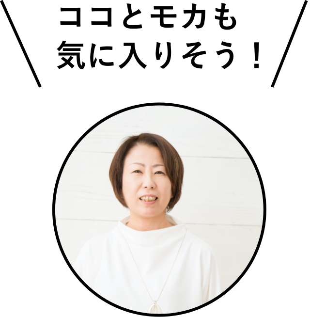 ココとモカも気に入りそう！