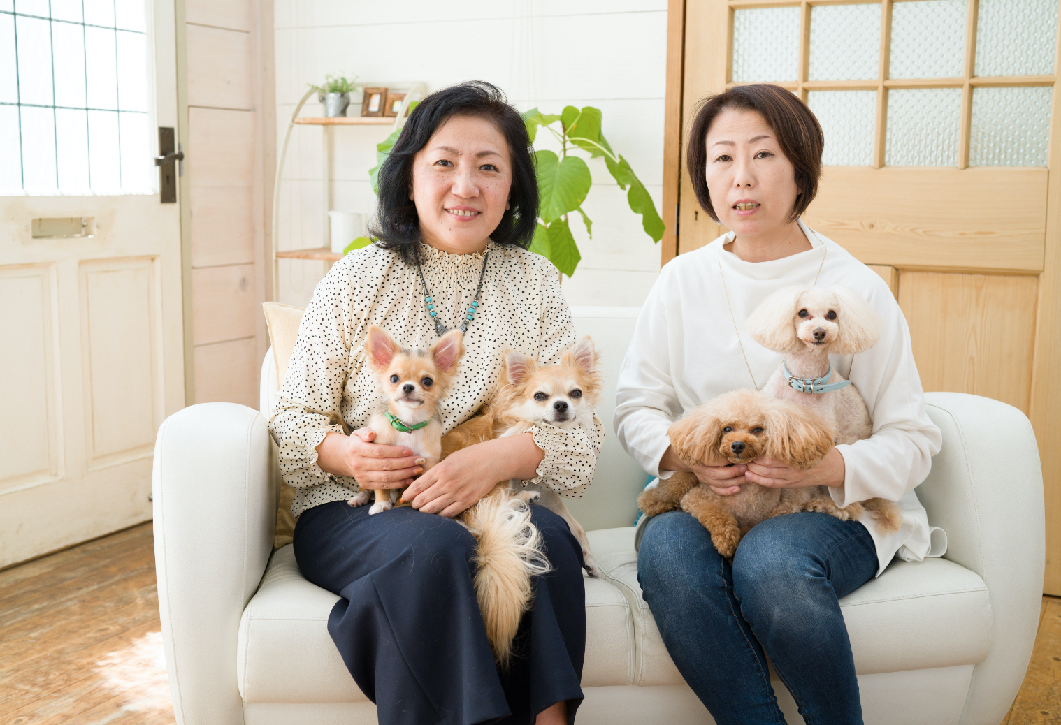 サイエンス・ダイエットで大好きな愛犬ともっと長く健康な暮らしを