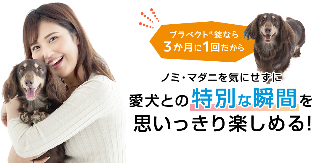 ブラベクト&reg;錠なら3か月に1回だからノミ・マダニを気にせずに愛犬との特別な瞬間を思いっきり楽しめる！