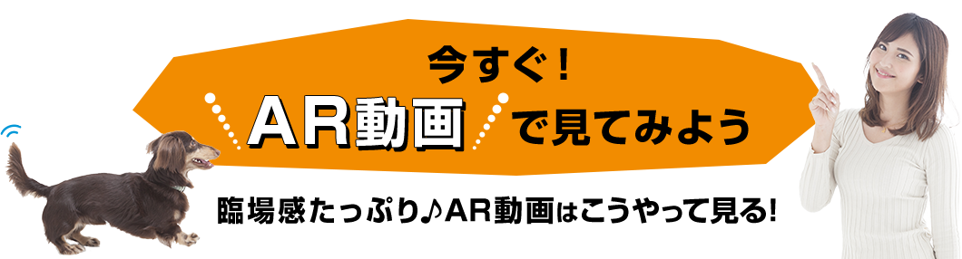 今すぐ！AR動画で見てみよう 臨場感たっぷり　AR動画はこうやって見る！
