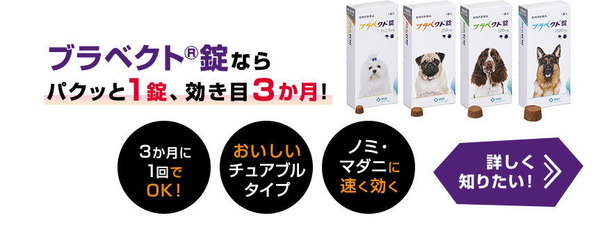 ブラベクト&reg;錠ならパクッと1錠、効き目3か月！ 詳しく知りたい！