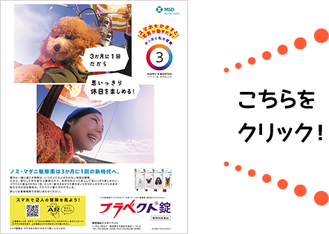 こちらをクリック！