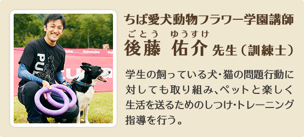 愛犬 愛猫にも 飼い主さんにも ペットとの暮らしに やさしい処方の クイックル Joan ジョアン がオススメ By花王 いぬのきもちweb ねこのきもちweb いぬのきもちweb ねこのきもちweb