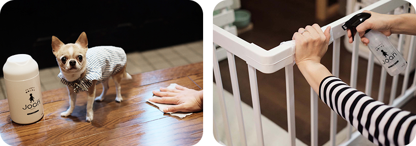 「クイックル Joan」をお試し！