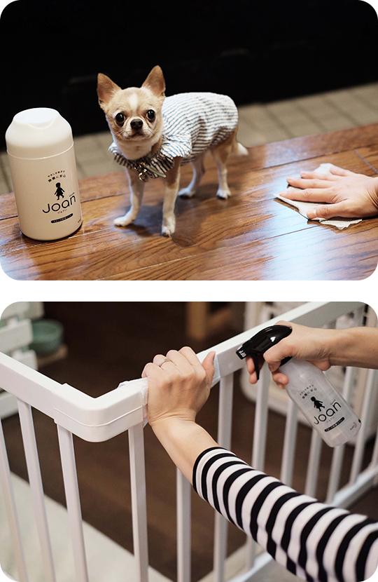 「クイックル Joan」をお試し！