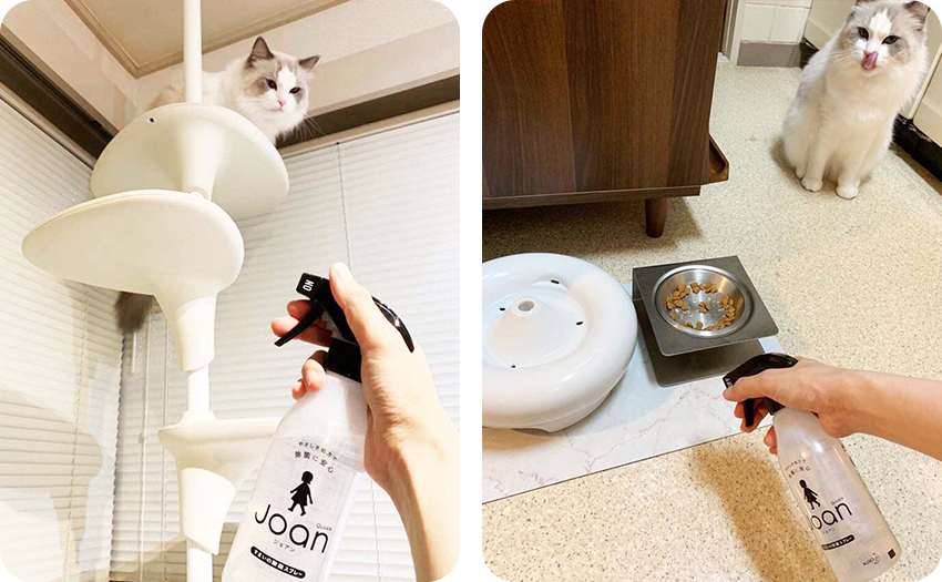 「クイックル Joan」をお試し！