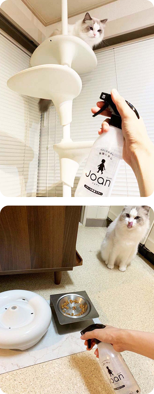 「クイックル Joan」をお試し！