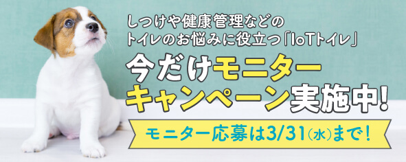 今だけモニターキャンペーン実施中！