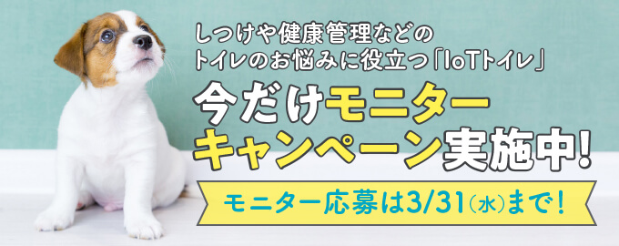 今だけモニターキャンペーン実施中！