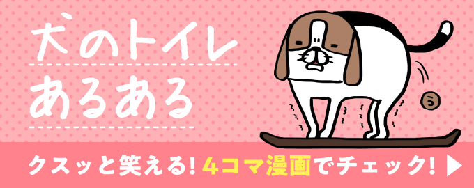 4コマ漫画でチェック！犬のトイレあるある